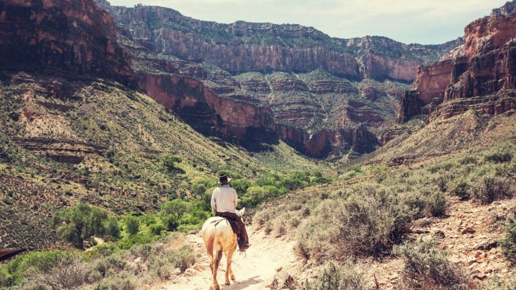 Horseback Riding and Wagon Rides in grand canyon west