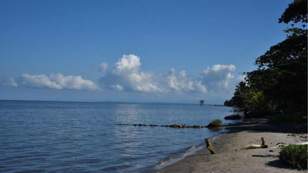 Located at the mouth of the Rio Dulce River on Guatemala's Caribbean coast, Livingston Beach is a vibrant destination with a unique blend of cultures.