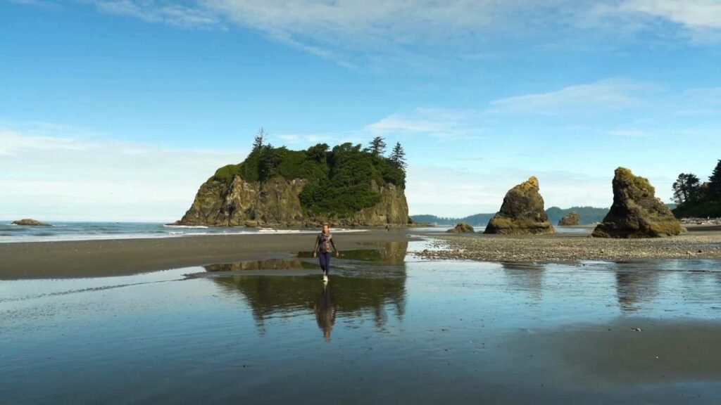 person walking in the beach in Olympic National Park