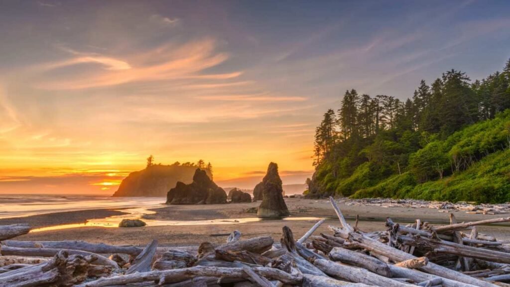 Scenic view of the beach in Olympic National Park