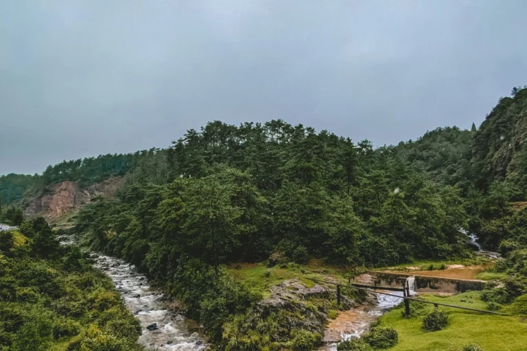 Scenic river flowing through lush green hills and pine forest in Shillong, Meghalaya, North East India.