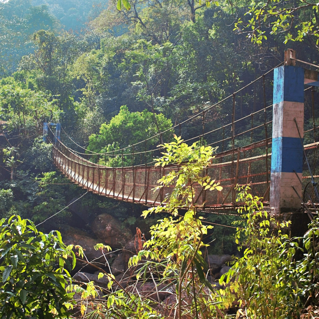 Suspension bridge surrounded by lush greenery in Meghalaya showcasing scenic nature and adventure travel in North East India